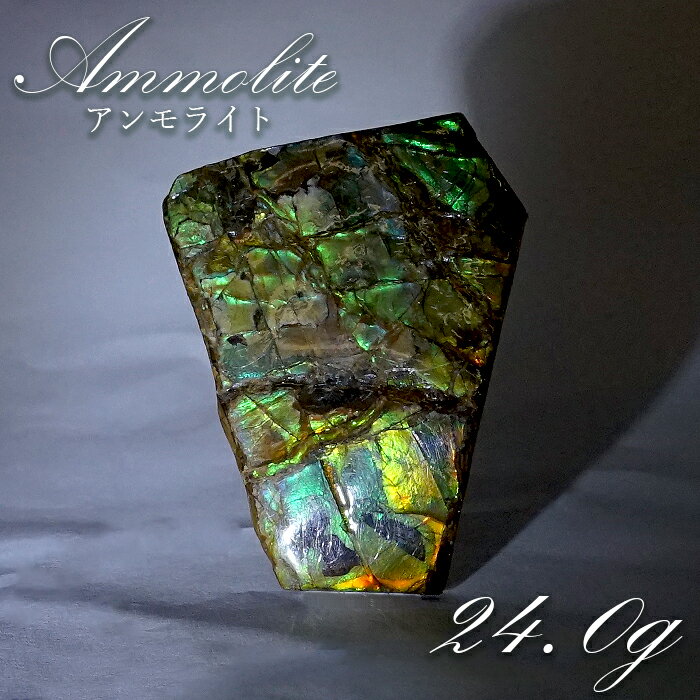 【楽天スーパーSALE 30%OFF】 【 一点物 】 アンモライト 原石 カナダ産 約24.0g アンモナイト 化石 希少石 お守り 天然石 パワーストーン ...