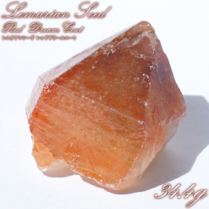 レムリアンレッドドリームコート 原石 ブラジル産 一点物 Lemurian Seed ...