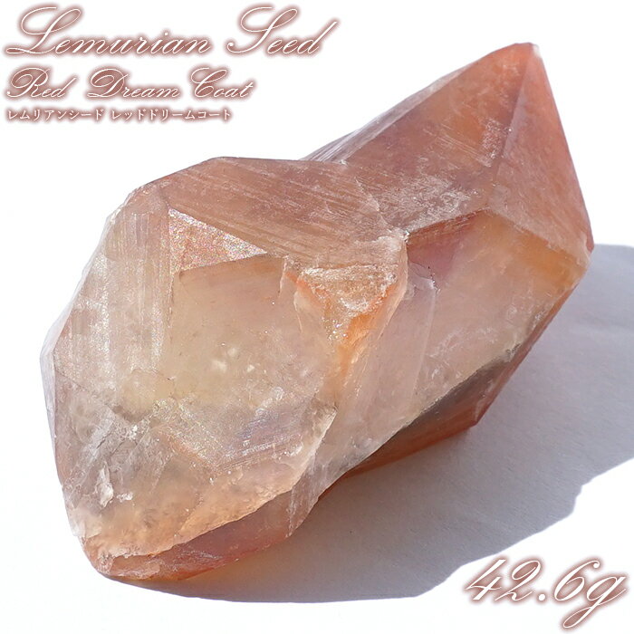 レムリアンレッドドリームコート 原石 ブラジル産 一点物 Lemurian Seed ...