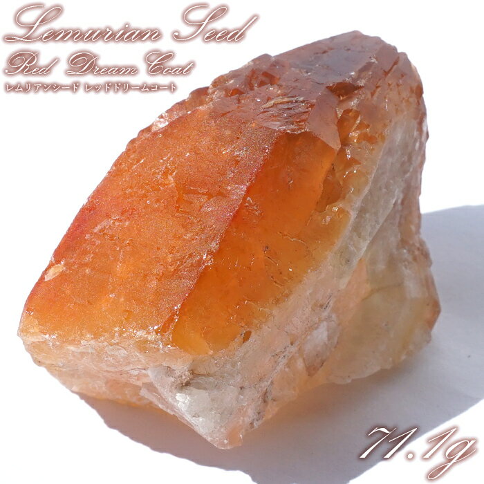 レムリアンレッドドリームコート 原石 ブラジル産 一点物 Lemurian Seed ...