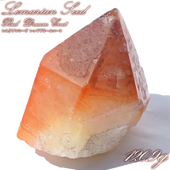 レムリアンレッドドリームコート 原石 ブラジル産 一点物 Lemurian Seed ...