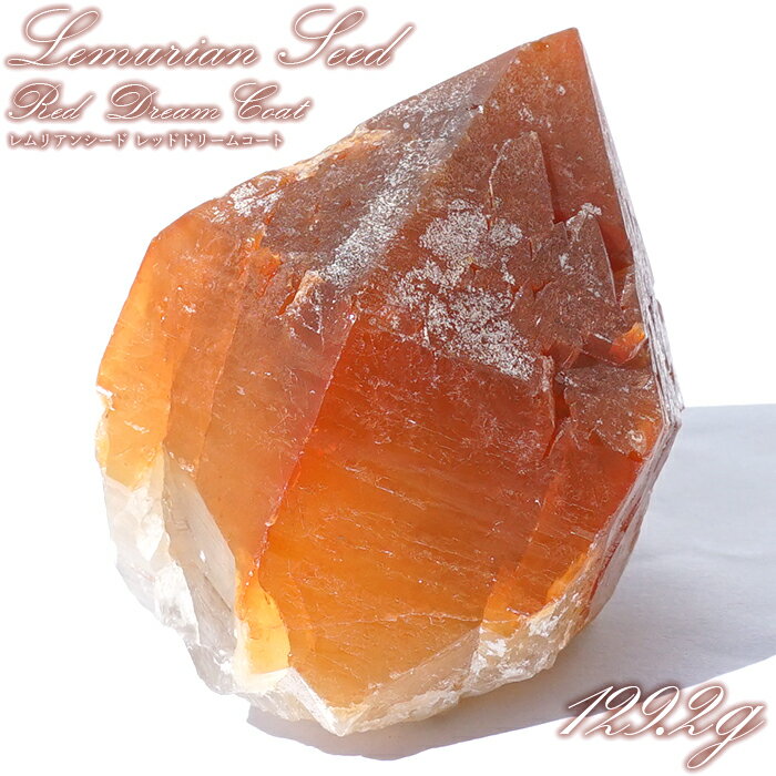 レムリアンレッドドリームコート 原石 ブラジル産 一点物 Lemurian Seed ...