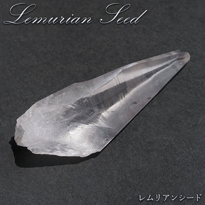 レムリアンシード 原石 ブラジル産 一点物 Lemurian Seed 稀少石 浄化 天...