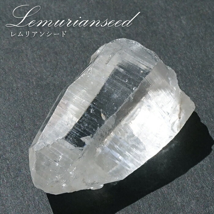 レムリアンシード 水晶 原石 コロンビア産 一点物 Lemurian Seed 稀少石 ...