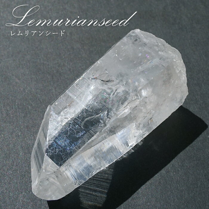 レムリアンシード 水晶 原石 コロンビア産 一点物 Lemurian Seed 稀少石 ...