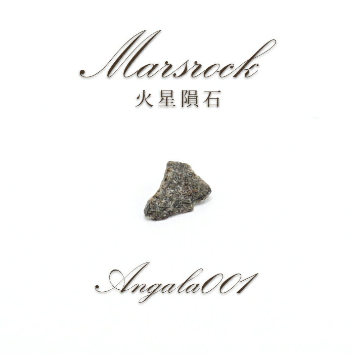 Amgala001 火星の石 火星隕石 サハラ砂漠産  一点物  Mars rock 隕石 シ...