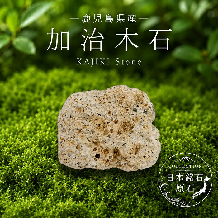 加治木石 原石 鹿児島県産 KAJIKI Stone 姶良市 加治木町 日本銘石 全国 47都道府県 正規代理店 国産 鉱物 コレクション 天然石 パワーストーン