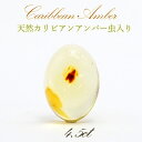 【一点物】 虫入り琥珀 ルース カリブ海産 【希少】 天然 昆虫 アンバー ペンダント ネックレス アクセサリー コレクション インテリア 置物 お守り プレゼ...