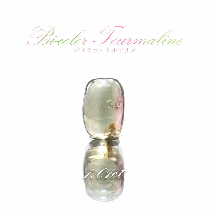 【楽天スーパーSALE 30%OFF】 バイカラートルマリン ルース 1.01ct ブラジル産 スクエア 【 一点物 】 Bicolor Tourmaline ...