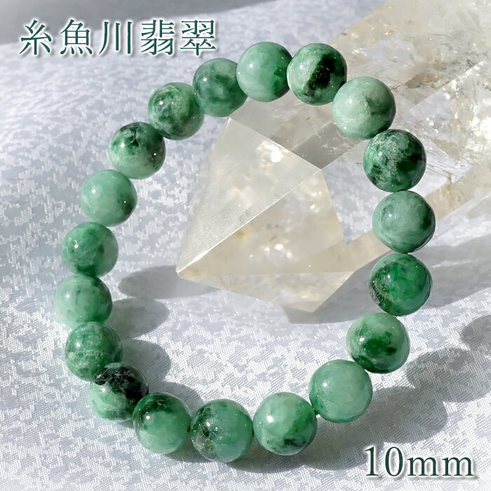 ǿ 10mm ꡼ 㸩 ڰʪ    5 Ҥ ŷ ѥȡ 顼...