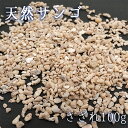 さざれ 100g 天然サンゴ 東南アジア産 天然石 パワーストーン 穴無し さざれ カラーストーン