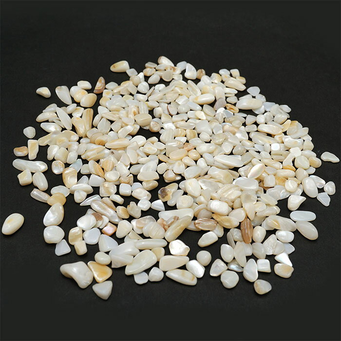さざれ 100g シェル 貝 天然石 パワーストーン さざれ石 穴無し カラーストーン