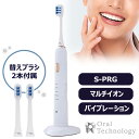 オーラルテクノロジー ソニックブラシ OralTechnology SonicBrush 電動歯ブラシ 替えブラシ2本付属 USB充電 オーラルケア 口臭ケア 歯周病ケア 口腔ケア S-PRGフィラー フッ化物イオン 衛生的 防水 【メーカー直送商品】