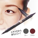 ヘナアイズ 2.5ml 天然ヘナエキス アイブロウ ペンタイプ 眉 落ちにくい 2Wayタイプ 【ネコポス便発送】