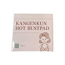 【5/9〜お買い物マラソン5%クーポンつき!!】◇ KANGENKUN HOT BUSTPAD 還元くんホットバストパッド 1組2枚入り グレー 日本製 オジカ...