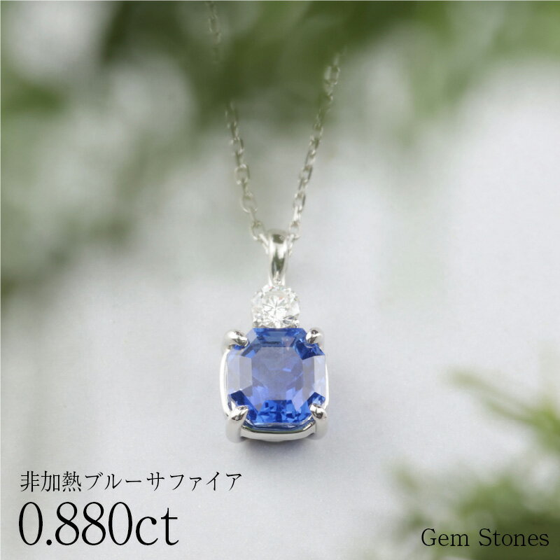 【BRACK FRIDAY 5000円クーポン等！配布中！】 ブルーサファイア 0．88ct ダイヤモンド ネックレス ペンダント プラチナネックレス Pt900 ネックレス レディース 一粒ネックレス 誕生石 シンプル Drops