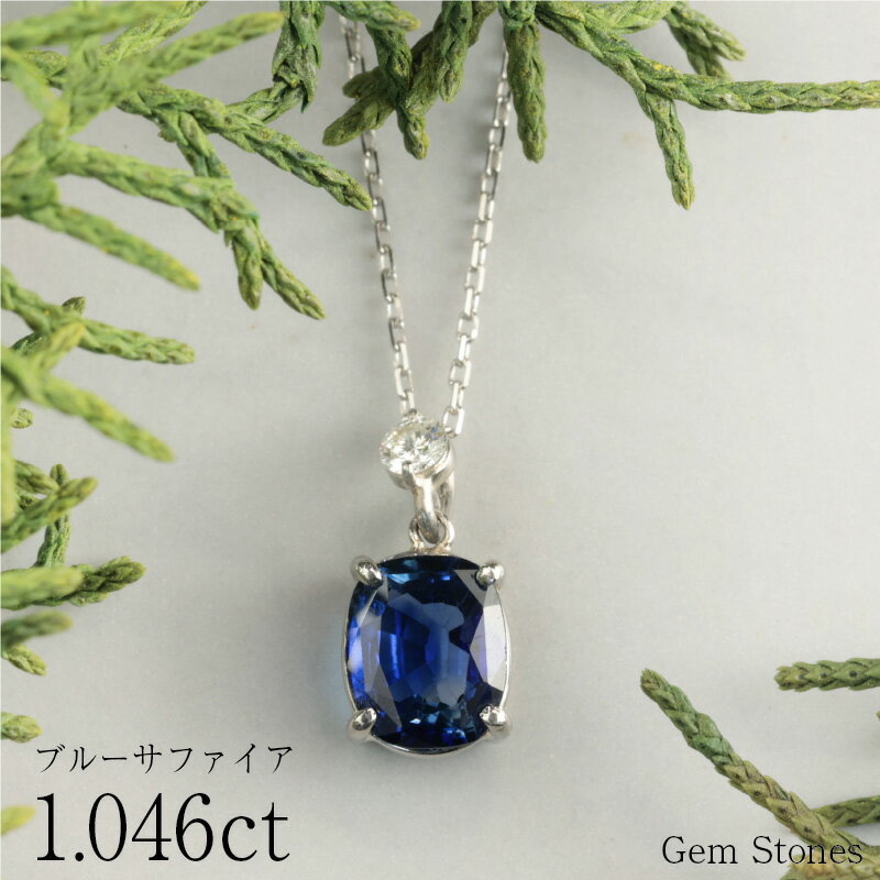 【BRACK FRIDAY 5000円クーポン等！配布中！】 ブルーサファイア 1．046ct ダイヤモンド ネックレス ペンダント プラチナネックレス Pt900 ネックレス レディース 一粒ネックレス 誕生石 シンプル Drops