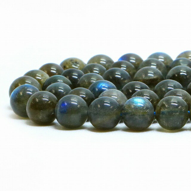 1Ϣ֥ɥ饤ȡǻˡڴݶ̡8mmŷ ӡ ѥȡ