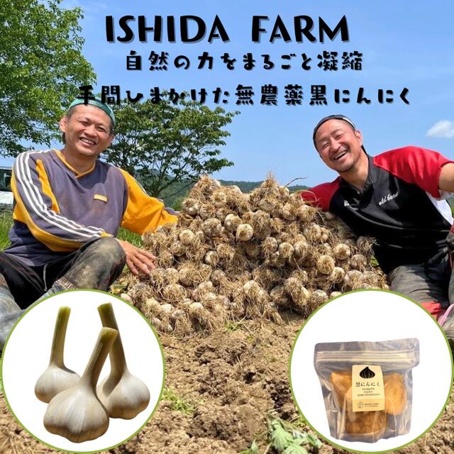 【今季35個限定】ISHIDA FARM 黒にんにく 3個 120g以上のサムネイル