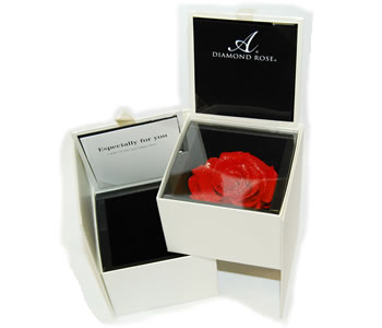 ダイヤモンドローズボックス DIAMOND ROSE BOX 薔薇 バラ ギフトケース 2段開閉式 【AMOROSA-アモローサ】 【単品購入可能】