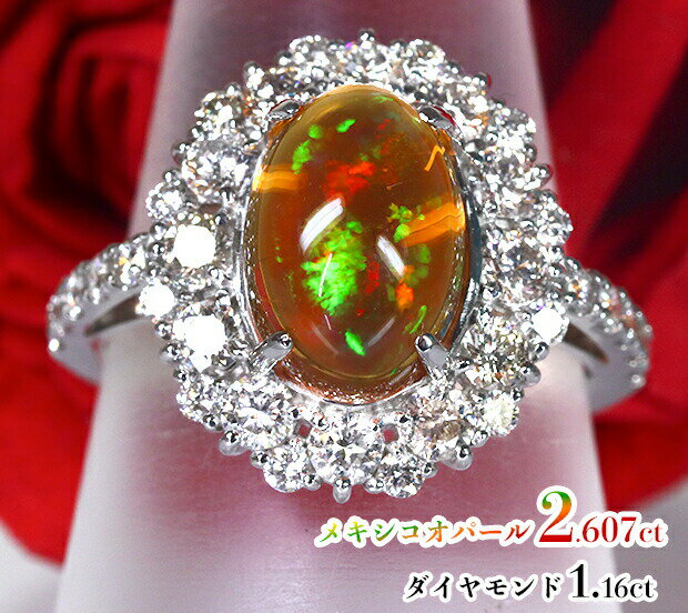 ＼スーパーSALE！／極上の大粒フ...