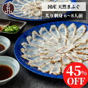 【45%OFF】 玄品 通販限定 国産 天然まふぐ 炙り 刺身 てっさ 6〜8人前 ふぐ フグ 河豚 まふぐ マフグ ふぐ刺し ふぐ刺身 ふぐさし あぶり お祝...