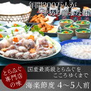 【あす楽対応】「玄品ふぐ」極上のフルコースです★玄品ふぐ豪華 海楽節度(約4〜5人前)【送料無料】│トラフグ・虎河豚 - とらふぐ専門店 玄品ふぐ