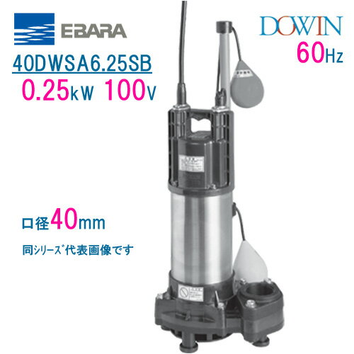 エバラ　樹脂製汚水・雑排水用水中ポンプ　40DWSA6．25SB　0．25kW　100V　60Hz　口径40mm　自動形　フ..
