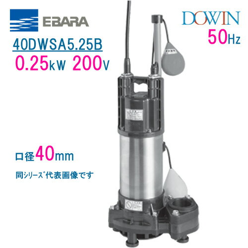 エバラ　樹脂製汚水・雑排水用水中ポンプ　40DWSA5．25B　0．25kW　200V　50Hz　口径40mm　自動形　フロートスイッチ付　荏原製作所製水中ポンプ　EBARA ダーウィン DOWIN