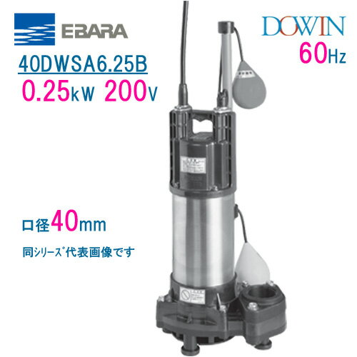 エバラ　樹脂製汚水・雑排水用水中ポンプ　40DWSA6．25B　0．25kW　200V　60Hz　口径40mm　自動形　フロートスイッチ付　荏原製作所製水中ポンプ　EBARA ダーウィン DOWIN