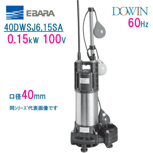 樂天商城 - エバラ　樹脂製汚水・雑排水用水中ポンプ　40DWSJ6．15SA　0．15kW　100V　60Hz　口径40mm　自動交互形　フロートスイッチ付　荏原製作所製水中ポンプ　EBARA ダーウィン DOWIN