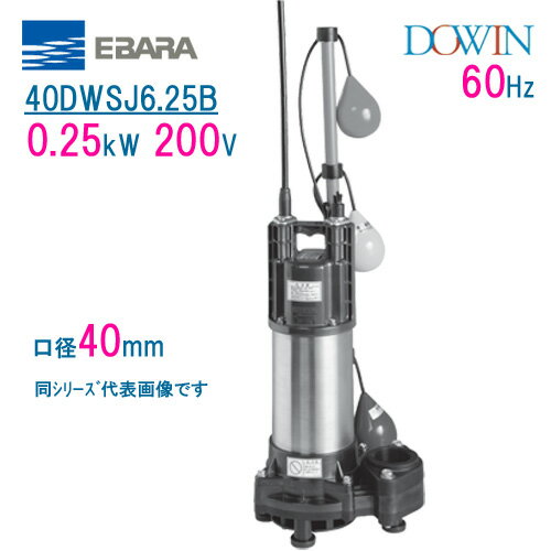 エバラ 樹脂製汚水 雑排水用水中ポンプ 40DWSJ6．25B 0．25kW 200V 60Hz 口径40mm 自動交互形 フロートスイッチ付 荏原製作所製水中ポンプ EBARA ダーウィン DOWIN
