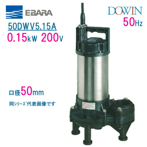エバラ　樹脂製汚水・汚物用水中ポンプ　50DWV5．15A　0．15kW　200V　50Hz　口径50mm　荏原製作所製水中ポンプ　EBARA ダーウィン DOWIN