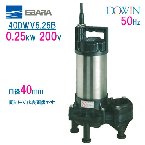 エバラ　樹脂製汚水・汚物用水中ポンプ　40DWV5．25B　0．25kW　200V　50Hz　口径40mm　荏原製作所製水中ポンプ　EBARA ダーウィン DOWIN