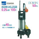 エバラ 樹脂製汚水 汚物用水中ポンプ 40DWVA5．25SB 0．25kW 100V 50Hz 口径40mm 自動形 フロートスイッチ付 荏原製作所製水中ポンプ EBARA ダーウィン DOWIN