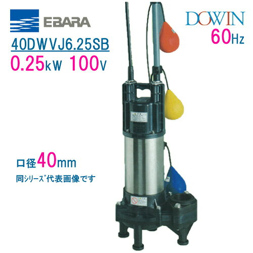 エバラ　樹脂製汚水・汚物用水中ポンプ　40DWVJ6．25SB　0．25kW　100V　60Hz　口径40mm　自動交互形　フロートスイッチ付　荏原製作所製水中ポンプ　EBARA ダーウィン DOWIN