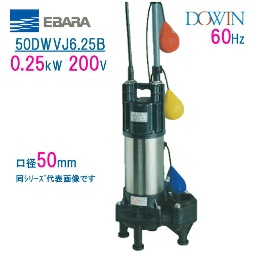 エバラ　樹脂製汚水・汚物用水中ポンプ　50DWVJ6．25B　0．25kW　200V　60Hz　口径50mm　自動交互形　フロートスイッチ付　荏原製作所製水中ポンプ　EBARA ダーウィン DOWIN