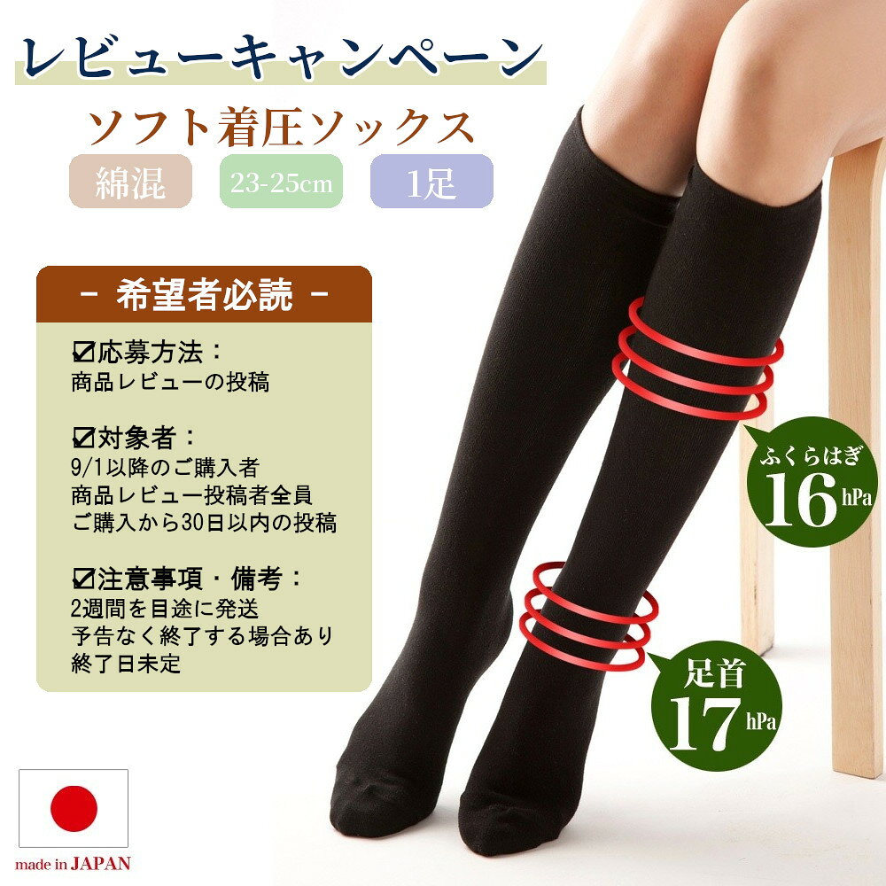 【半額！SS中】 子供 財布 男の子 首かけ 子ども 子供財布 二つ折り 小学生 初めて おしゃれ カード入れ かっこいい キッズ キッズ財布 ジュニア ジュニア財布 シンプル ストラップ付き ネックストラップ ひも付き 一年生 園児 恐竜 ダイナソー genba-senka-10000278 現場専科 楽天市場店 サンプル画像2