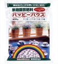 【レインボー薬品】ハッピーハウス(600g)/1個 【M】
