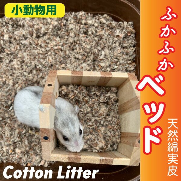 天然コットンの綿実皮だから安全で小動物に優しく、高い保温性で ハムスターやラット、うさぎ、小鳥やリス、モルモットなど 小動物用の床材として。ふかふかベッドに。 ●容量：20L天然コットンの綿実皮だから安全で小動物に優しく、高い保温性で ハムスターやラット、うさぎ、小鳥やリス、モルモットなど 小動物用の床材として。ふかふかベッドに。 ●容量：20L