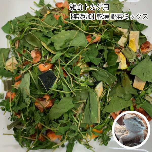 雑食トカゲ用 無添加 乾燥 野菜ミックス 60g とかげ 野菜　フトアゴヒゲトカゲ アオジタトカゲなど オクラ 小松菜 かぼちゃ 豆苗 ニンジン【DBP】