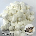 フクロモモンガ用 フリーズドライ マシュマロ 50g カリカリタイプ フクロモモンガのおやつ マシュマロ メール便(ポスト投函)送料無料【DBP】