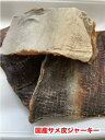 犬 猫 噛むおやつ 国産 無添加 乾燥 サメの皮ジャーキー 【500g】 鮫の皮 サメ皮 送料無料【DBP】