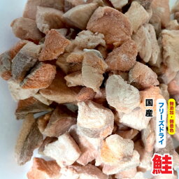 犬　猫　おやつ　国産　無添加 フリーズドライ　鮭【50g】 サーモン　国内加工　鮭カット　ひと口サイズ【DBP】