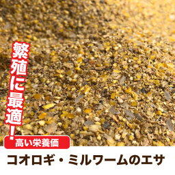 【1kg】コオロギ・ミルワームのエサ　繁殖　 昆虫飼料　コオロギ　ブリーダー　高栄養価　配合飼料　コオロギ　ミルワーム　繁殖　メール便送料無料【DBP】