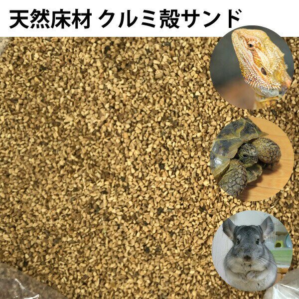 爬虫類 小動物 クルミ殻サンド 【1kg(500g×2通)(約2.5L)】 細粒 くるみ殻 トイレ砂 両生類 床材 敷き材　リクガメ トゲアオガマ メール便送料無料【DBP】