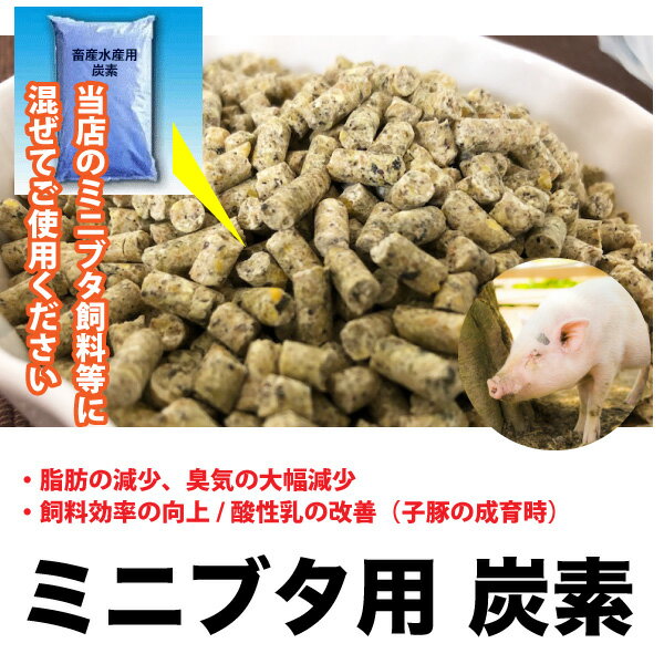 ミニブタ飼料用　配合炭素　【100g