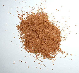 �Ѿ޵��ѻ��� �����夦���� 450g(SS��������300��600�ߥ�����) ��� �ڥ�å� ���� �����奦 �٥�꡼�ѥå��ڥ٥�꡼��