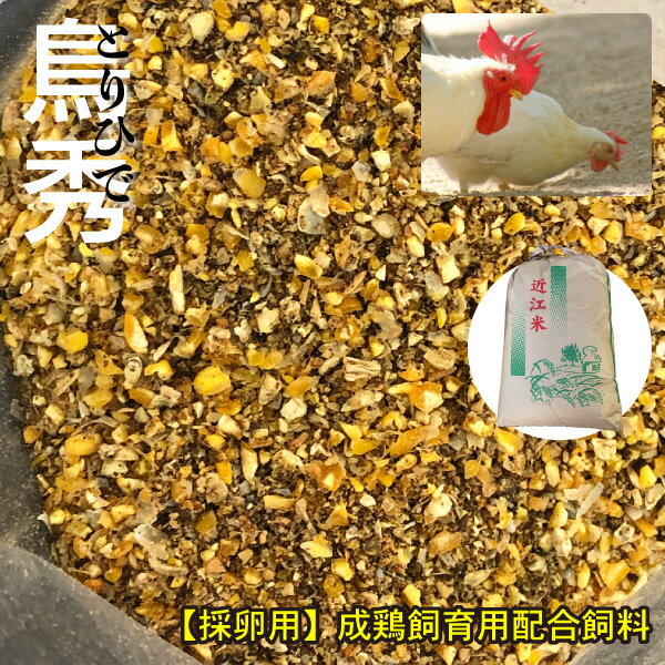 【10kg】【採卵用】 鶏 飼料　とりひで　鳥秀 高栄養　高タンパク 【再利用米袋使用】 　成鶏飼育用配合飼料 にわとり えさ 鳥秀 養鶏 送料無料【DBP】