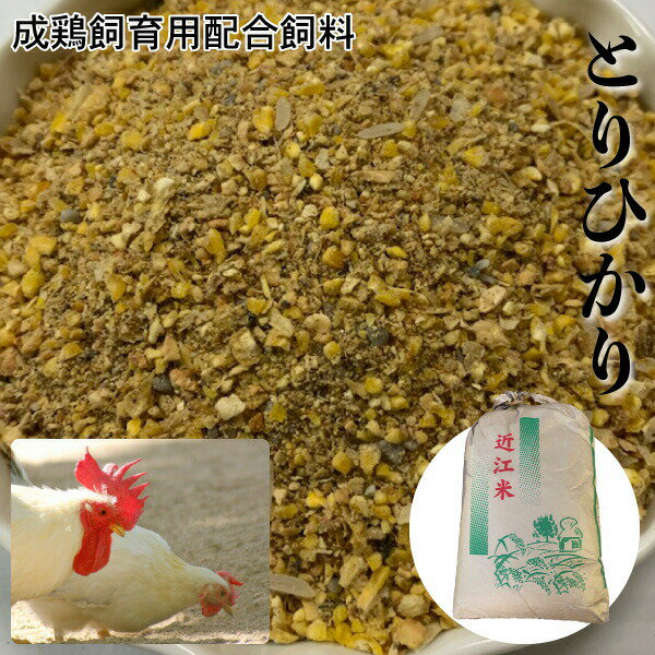 【10kg】にわとり えさ 鶏 飼料 とりひかり 鳥光 【再利用米袋使用】 成鶏飼育用配合飼料 にわとり えさ 鳥光 鳥の餌 養鶏 鶏 エサ 送料無料【DBP】